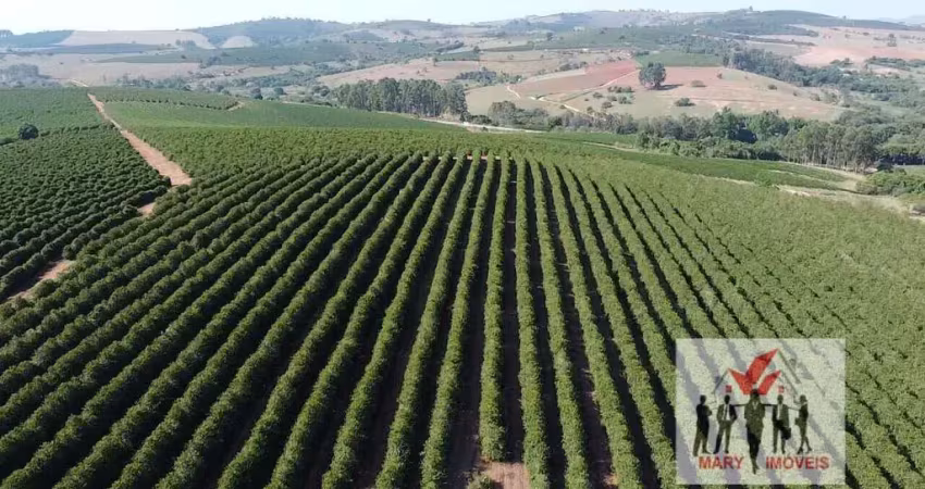 Fazenda à venda no Centro, Elói Mendes 
