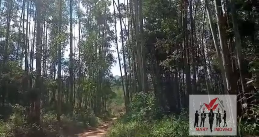 Fazenda à venda no Centro, Taubaté 