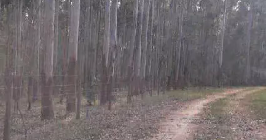 Fazenda à venda no bairro centro - são joão do paraíso/mg