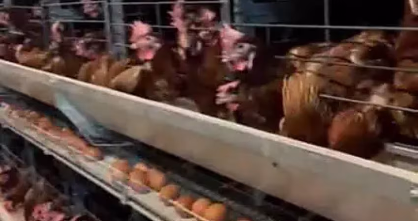 Barracão / Galpão / Depósito à venda no Centro, São Paulo 