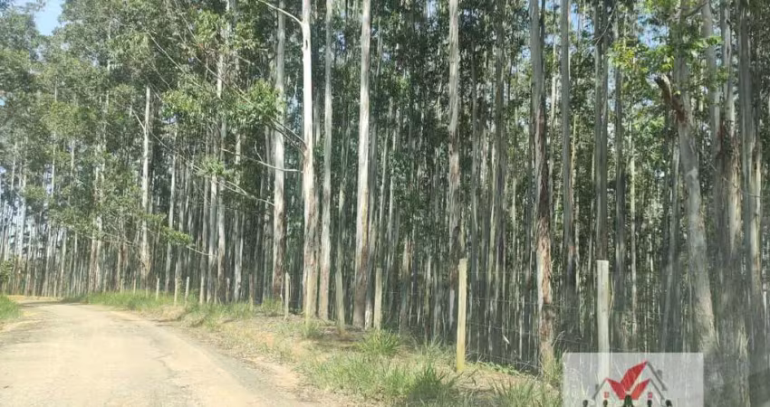 Fazenda à venda no Centro, Lavrinhas 