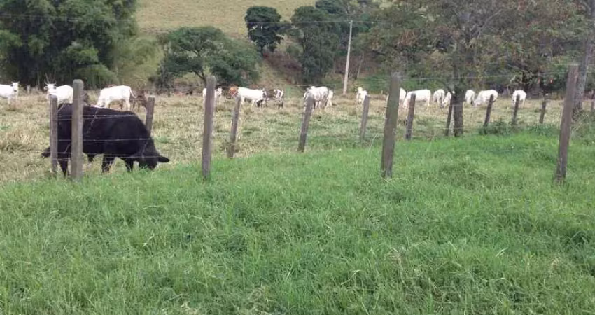 Fazenda à venda no Centro, Vargem Grande do Sul 