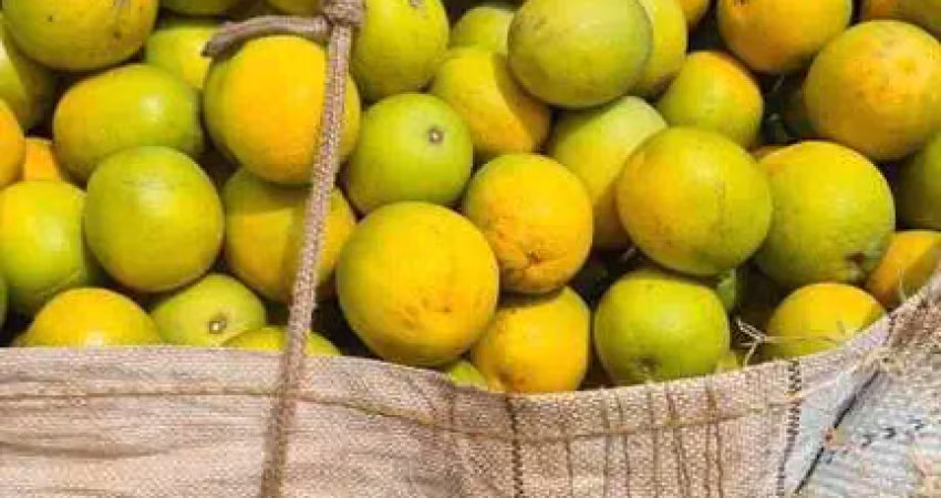Fazenda à venda no Centro, Marília 