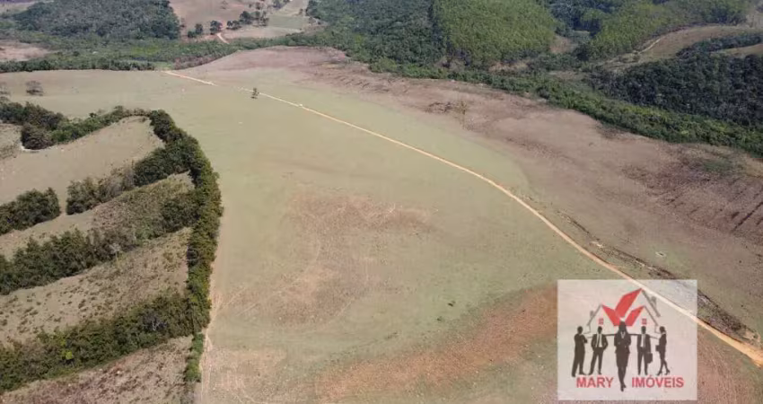 Fazenda à venda no bairro centro - antônio carlos/mg