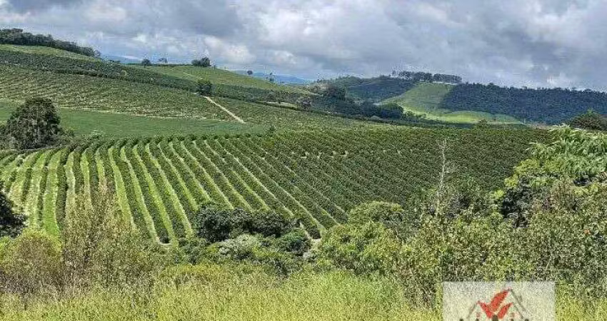 Fazenda à venda no Centro, Caconde 