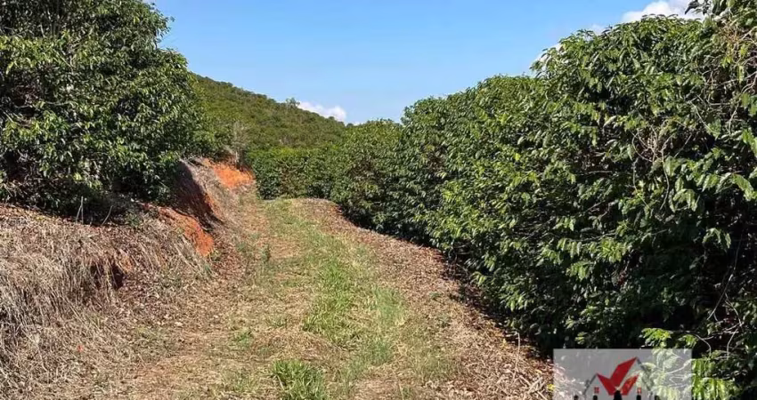 Fazenda à venda na Avenida Coronel Cândido de Castro Coutinho, Centro, Pouso Alegre