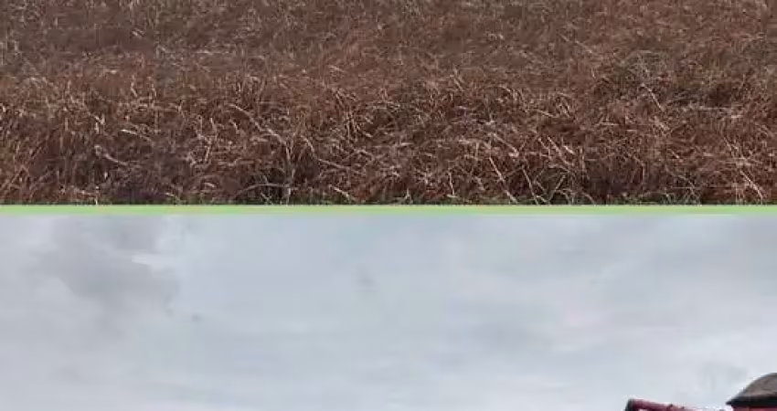 Fazenda à venda no Setor Central, Araguaína 