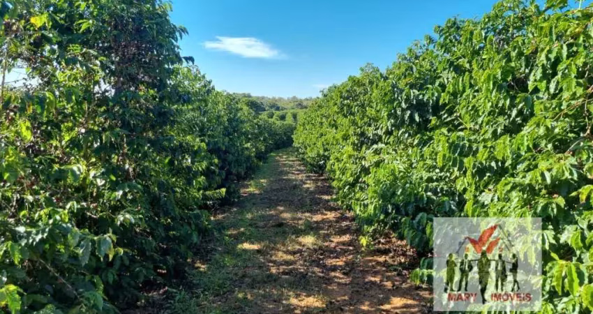 Fazenda à venda no Centro, Ilicínea 