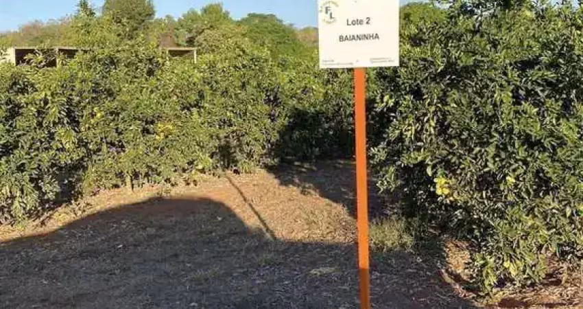 Fazenda à venda no Centro, Januária 