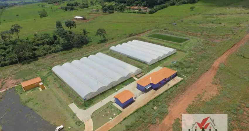 Fazenda à venda no Centro, São Simão 