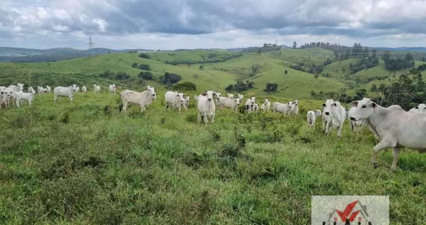 Fazenda à venda no Centro, Jacutinga 