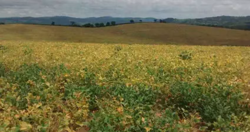 Fazenda à venda no Centro, Perdões 