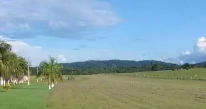 Fazenda à venda no Centro, Porto Velho 