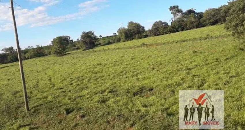 Fazenda à venda no bairro centro - são sebastião do paraíso/mg