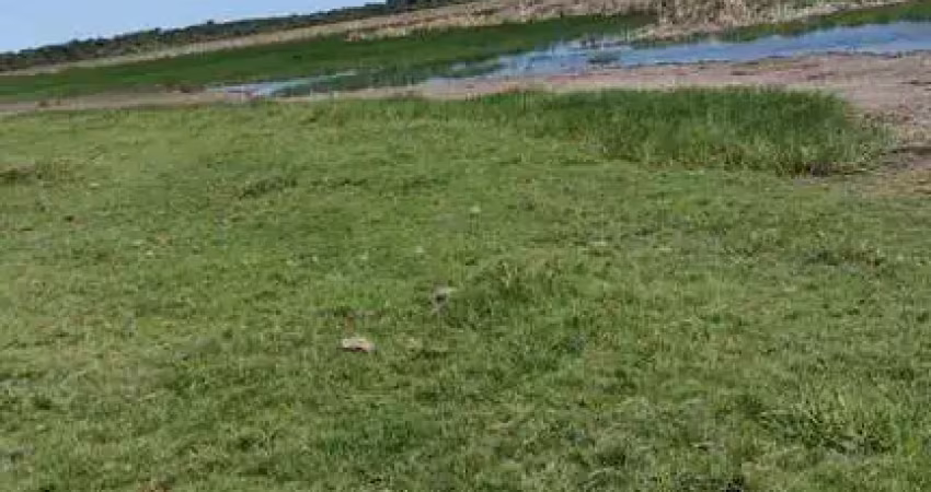 Fazenda à venda no Centro, Campos dos Goytacazes 