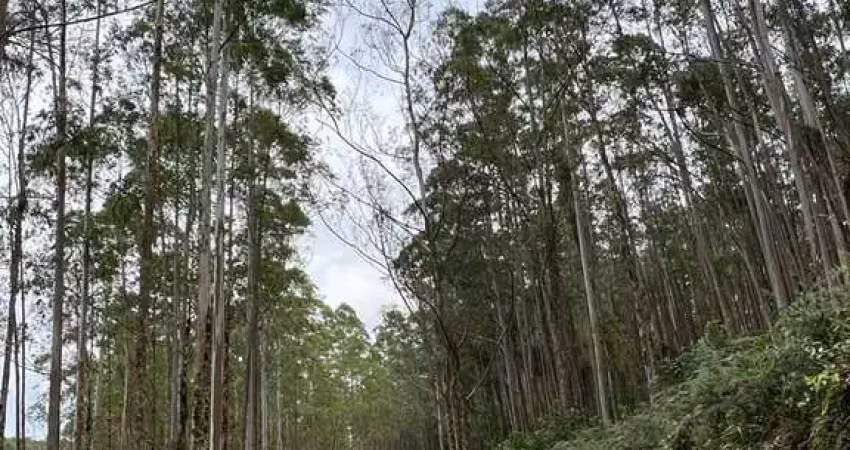 Fazenda à venda no Centro, Sorocaba 