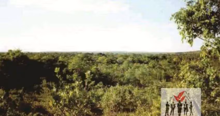 Fazenda à venda no Centro, Pintópolis 