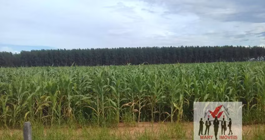 Fazenda à venda no Centro Sul, Cuiabá 