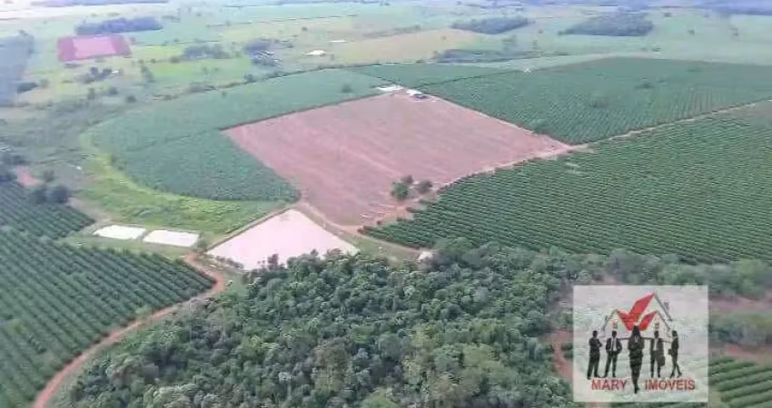 Fazenda à venda no bairro centro - fernandópolis/sp