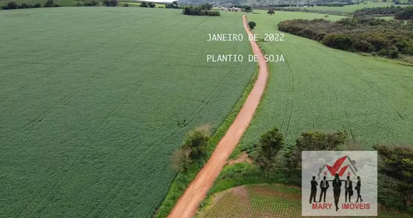 Fazenda à venda no bairro centro - carmo do rio claro/mg