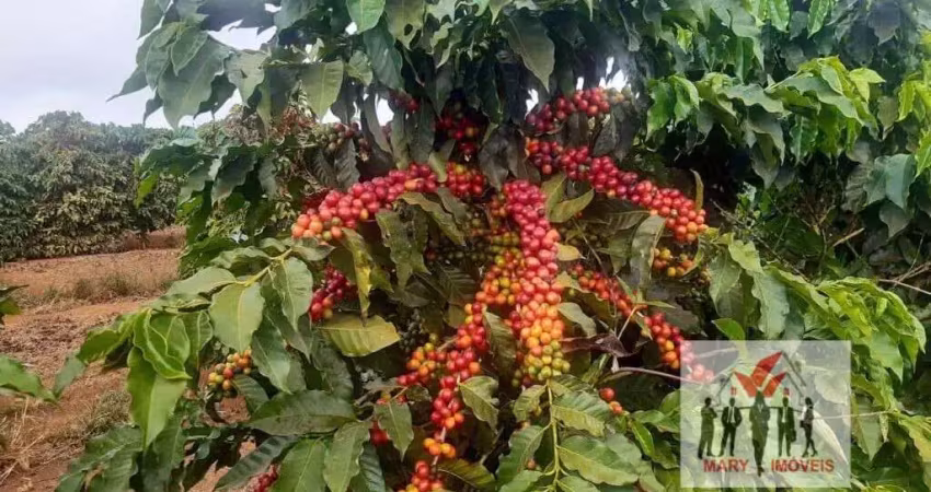 Fazenda à venda no Centro, Luminárias 