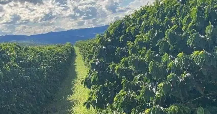 Fazenda à venda no Centro, Claraval 