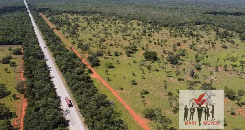 Fazenda à venda no Centro, Felixlândia 