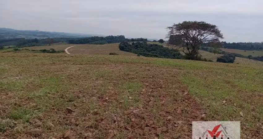 Fazenda à venda no bairro centro - são pedro da união/mg