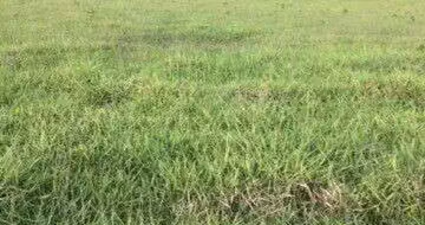 Fazenda à venda no bairro vila ramos - pouso alegre/mg