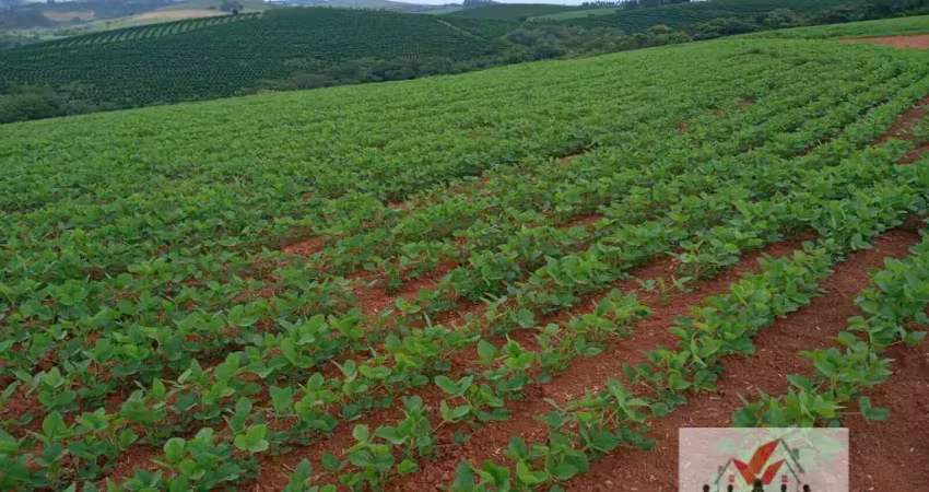Fazenda à venda no Centro, Cruzília 