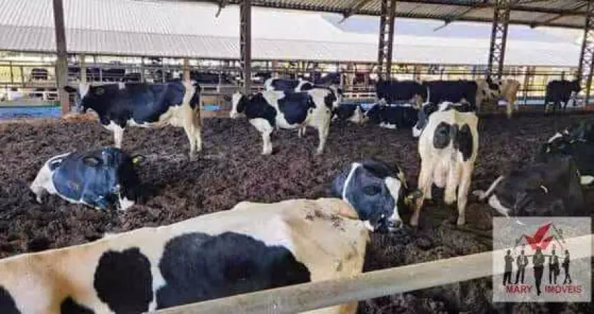 Fazenda à venda no Centro, Heliodora 