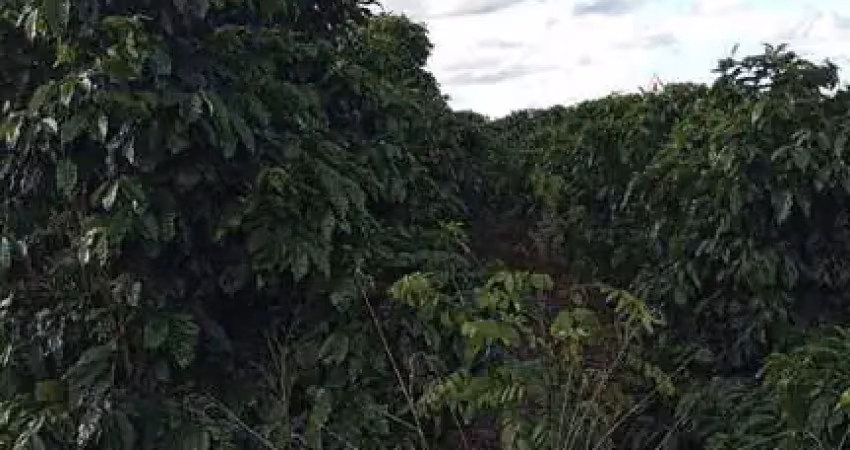 Fazenda à venda no Centro, Campestre 