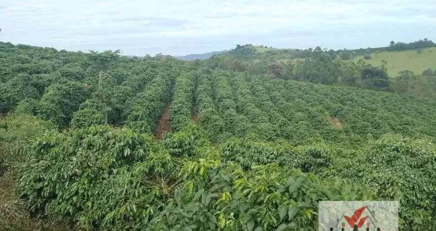Fazenda à venda no Centro, Caconde 