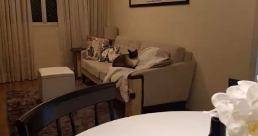 APARTAMENTO NA AV. WASHINGTON LUIS COM VISTA PARA A CHÁCARA MONTE ALEGRE !