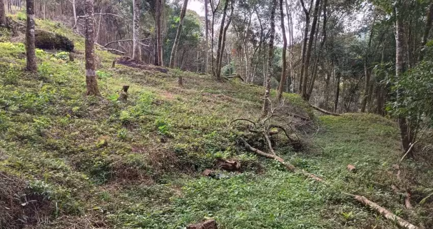 Chácara / sítio à venda na MONTE BELO, Guabiroba, Campo Largo