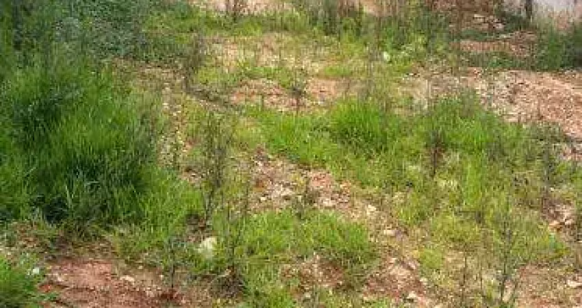 Terreno à venda, 400 m² por r$ 1.250.000 - campo belo - zm