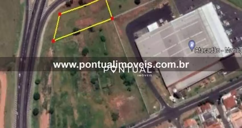 Terreno comercial à venda, jardim riviera, marília - te0221.