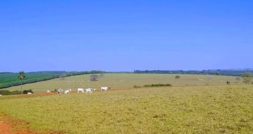 Òtima Fazenda a Venda na Região Duartina/Avaí
