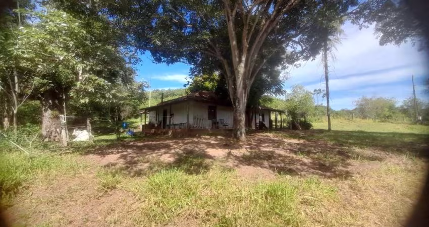 Sítio à venda com 6 Alqueires, Avaí, SP