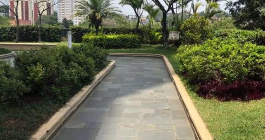 Apartamento para locação.