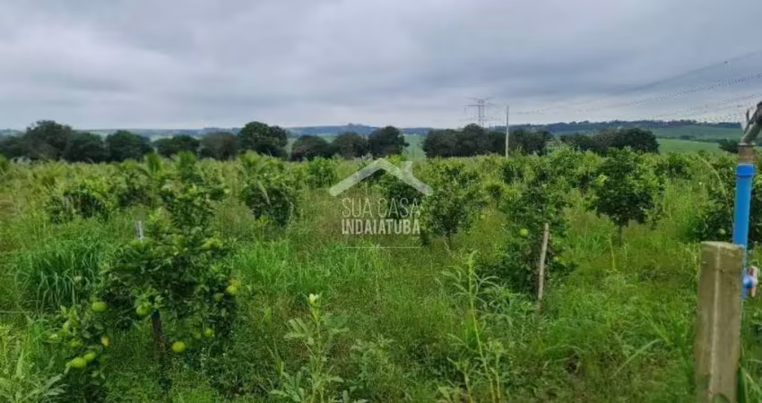 Sítio de 38.000m em cardeal totalmente formado e produzindo
