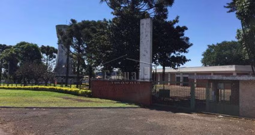 Casa comercial com pátio e estrutura logística à venda no Jardim Rosicler, Londrina