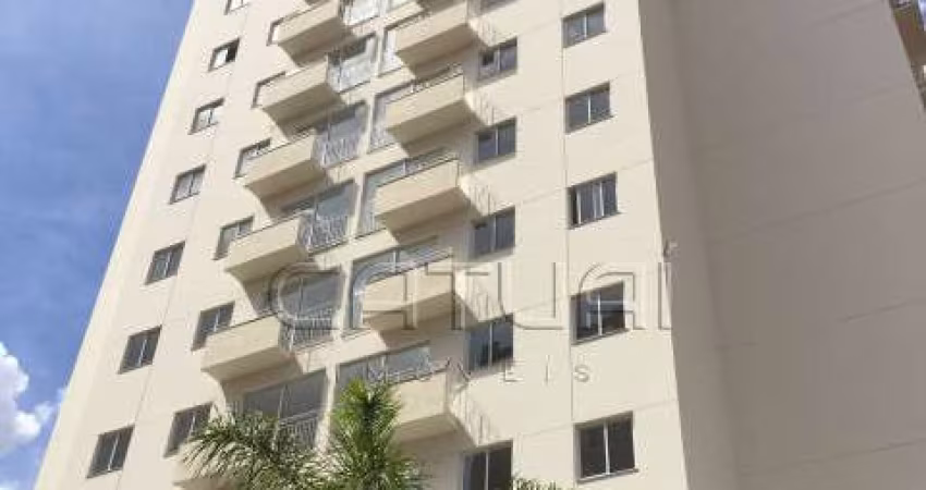 Apartamento à venda - Edifício Jardim de Ester - Vila Brasil, Londrina