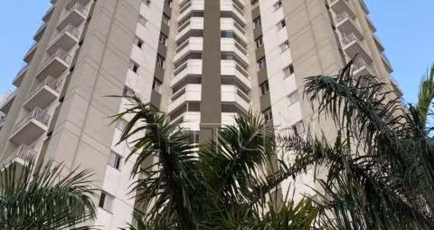 Apartamento Locaçao Evolution Alto da Palhano Londrina