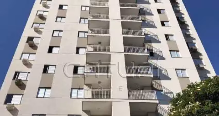 Apartamento com 3 quartos para alugar na Rua Luiz Lerco, 209, Terra Bonita, Londrina