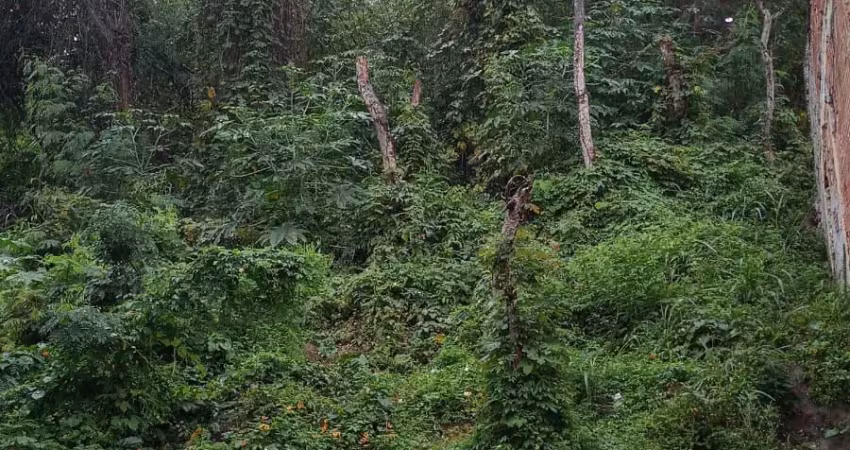 Oportunidade na região oceânica, terreno em aclive,  432 m² à venda em itaipu - maravista -niterói/rj