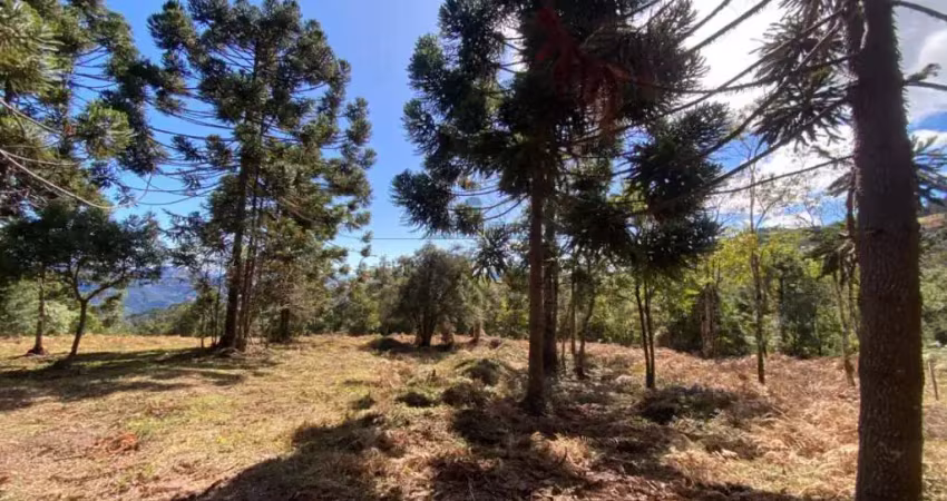 Fazenda à venda na Estrada Luminosa - São Bento do Sapucaí, Gleba B, 7k2m0 13, Luminosa, Brazópolis