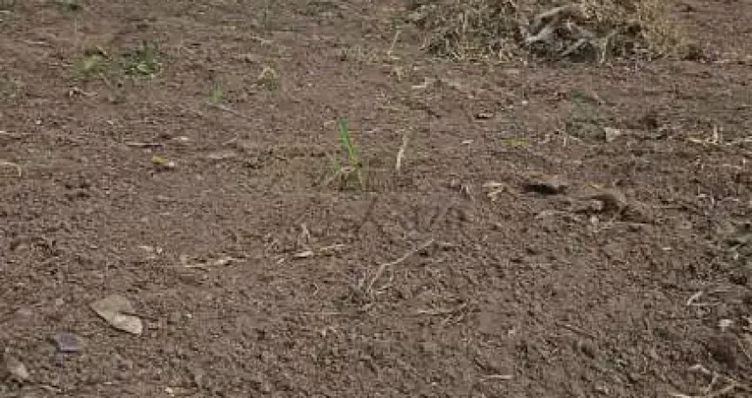 Terreno à venda na Rua Mastruz, 720, Chácaras Pousada do Vale, São José dos Campos