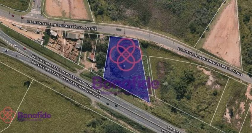 Terreno Industrial à venda, Dos Medeiros, Jundiaí - TE0312.