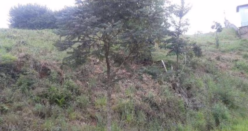 Terreno Residencial à venda, Serra dos Lagos, Cajamar - TE0572.